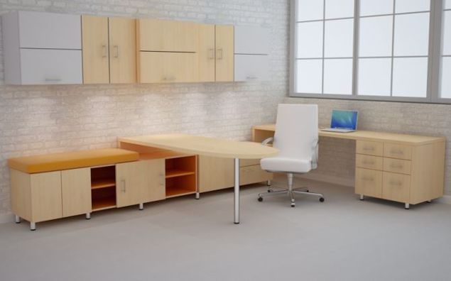 Rhea Modern Executive Desk and Credenza